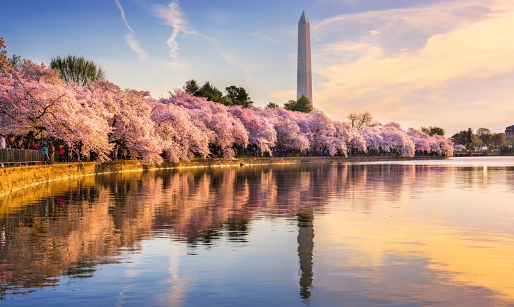 The Road to E-Invoicing Mandates in the United States &ndash; Part Two