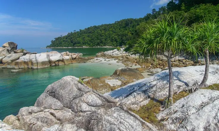 Malaysia Tightens E-Invoicing Rules for Electricity and Telecom Sectors